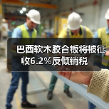 巴西软木胶合板将被征收6.2%反倾销税（图4）