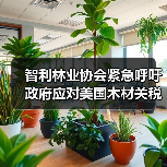 智利林业协会紧急呼吁政府应对美国木材关税冲击(图1) 智利林业协会紧急呼吁政府应对美国木材关税冲击(图1)