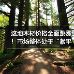 这地木材价格全面跳涨!市场整体处于“紧平衡”状态(图1) 这地木材价格全面跳涨!市场整体处于“紧平衡”状态(图1)