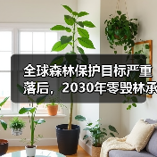 全球森林保护目标严重落后,2030年零毁林承诺面临严峻挑战(图4) 全球森林保护目标严重落后,2030年零毁林承诺面临严峻挑战(图4)