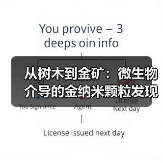 从树木到金矿：微生物介导的金纳米颗粒发现为绿色勘探提供新工具（图4）