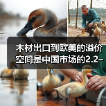木材出口到欧美的溢价空间是中国市场的2.2–5倍？（图4）