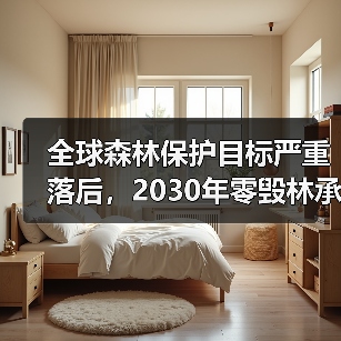 全球森林保护目标严重落后,2030年零毁林承诺面临严峻挑战(图1) 全球森林保护目标严重落后,2030年零毁林承诺面临严峻挑战(图1)