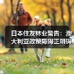 日本住友林业警告:澳大利亚政策障碍正阻碍住房投资与供应(图3) 日本住友林业警告:澳大利亚政策障碍正阻碍住房投资与供应(图3)