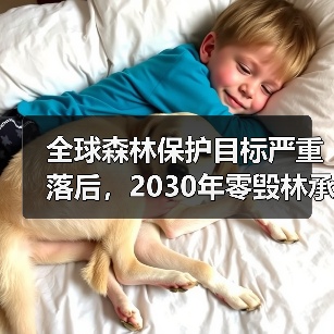 全球森林保护目标严重落后,2030年零毁林承诺面临严峻挑战(图3) 全球森林保护目标严重落后,2030年零毁林承诺面临严峻挑战(图3)