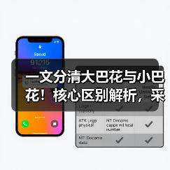 一文分清大巴花与小巴花!核心区别解析,采购避坑必看(图2) 一文分清大巴花与小巴花!核心区别解析,采购避坑必看(图2)