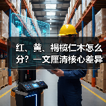 红、黄、褐榄仁木怎么分?一文厘清核心差异与应用边界(图1) 红、黄、褐榄仁木怎么分?一文厘清核心差异与应用边界(图1)