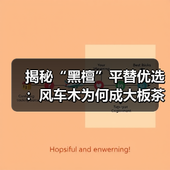 揭秘“黑檀”平替优选:风车木为何成大板茶桌高端材质新宠?(图2) 揭秘“黑檀”平替优选:风车木为何成大板茶桌高端材质新宠?(图2)