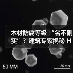 木材防腐等级 “名不副实”?建筑专家揭秘 H3 失效背后的设计危机(图3) 木材防腐等级 “名不副实”?建筑专家揭秘 H3 失效背后的设计危机(图3)