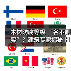 木材防腐等级 “名不副实”?建筑专家揭秘 H3 失效背后的设计危机(图4) 木材防腐等级 “名不副实”?建筑专家揭秘 H3 失效背后的设计危机(图4)
