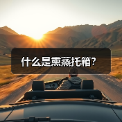 什么是熏蒸托箱?(图2) 什么是熏蒸托箱?(图2)