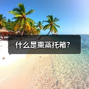 什么是熏蒸托箱?(图1) 什么是熏蒸托箱?(图1)