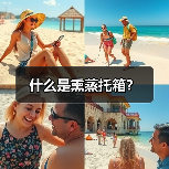 什么是熏蒸托箱?(图3) 什么是熏蒸托箱?(图3)