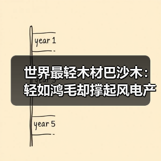 世界最轻木材巴沙木:轻如鸿毛却撑起风电产业半边天(图2) 世界最轻木材巴沙木:轻如鸿毛却撑起风电产业半边天(图2)