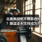 北美黑胡桃平替新选择?斯温漆木凭何成为市场新宠(图3) 北美黑胡桃平替新选择?斯温漆木凭何成为市场新宠(图3)