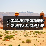 北美黑胡桃平替新选择?斯温漆木凭何成为市场新宠(图2) 北美黑胡桃平替新选择?斯温漆木凭何成为市场新宠(图2)