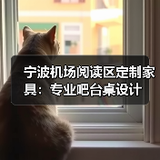 宁波机场阅读区定制家具：专业吧台桌设计（图3）