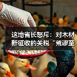 这地省长怒斥:对木材新征收的关税“荒谬至极”!(图1) 这地省长怒斥:对木材新征收的关税“荒谬至极”!(图1)