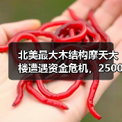 北美最大木结构摩天大楼遭遇资金危机，2500万美元缺口迫使工程暂停（图3）
