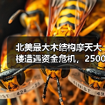 北美最大木结构摩天大楼遭遇资金危机，2500万美元缺口迫使工程暂停（图4）