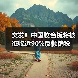 突发！中国胶合板将被征收近90%反倾销税（图2）