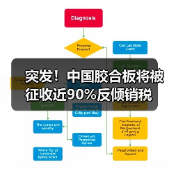 突发！中国胶合板将被征收近90%反倾销税（图3）