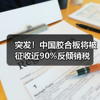 突发！中国胶合板将被征收近90%反倾销税（图4）