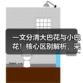 一文分清大巴花与小巴花！核心区别解析，采购避坑必看（图3）