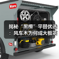 揭秘“黑檀”平替优选：风车木为何成大板茶桌高端材质新宠？（图4）
