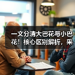 一文分清大巴花与小巴花！核心区别解析，采购避坑必看