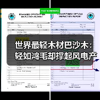世界最轻木材巴沙木：轻如鸿毛却撑起风电产业半边天