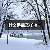 什么是熏蒸托箱？（图2）