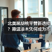 北美黑胡桃平替新选择？斯温漆木凭何成为市场新宠（图4）