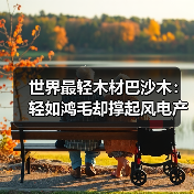 世界最轻木材巴沙木：轻如鸿毛却撑起风电产业半边天（图3）