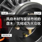 风靡木材与家装市场的唐木：凭何成为大众优选材种？（图4）