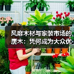 风靡木材与家装市场的唐木：凭何成为大众优选材种？