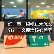 红、黄、褐榄仁木怎么分？一文厘清核心差异与应用边界（图2）