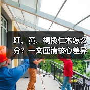 红、黄、褐榄仁木怎么分？一文厘清核心差异与应用边界（图4）