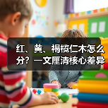 红、黄、褐榄仁木怎么分？一文厘清核心差异与应用边界（图3）