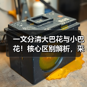 一文分清大巴花与小巴花！核心区别解析，采购避坑必看