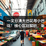一文分清大巴花与小巴花！核心区别解析，采购避坑必看（图4）