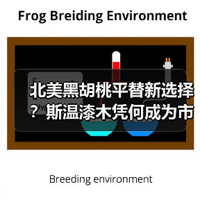 北美黑胡桃平替新选择？斯温漆木凭何成为市场新宠（图3）