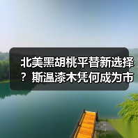 北美黑胡桃平替新选择？斯温漆木凭何成为市场新宠