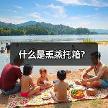 什么是熏蒸托箱?(图4) 什么是熏蒸托箱?(图4)