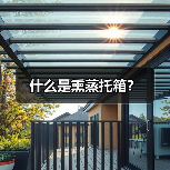 什么是熏蒸托箱?(图2) 什么是熏蒸托箱?(图2)