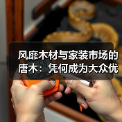 风靡木材与家装市场的唐木：凭何成为大众优选材种？（图3）