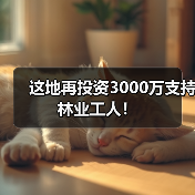 这地再投资3000万支持林业工人!(图2) 这地再投资3000万支持林业工人!(图2)