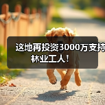 这地再投资3000万支持林业工人!(图1) 这地再投资3000万支持林业工人!(图1)