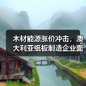 木材能源涨价冲击，澳大利亚纸板制造企业面临生存考验（图2）