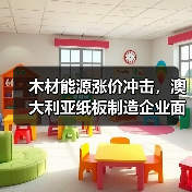 木材能源涨价冲击，澳大利亚纸板制造企业面临生存考验（图3）